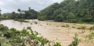 Agricultura informa Melissa causa daños y deja comunidades incomunicadas; dice los ríos Ocoa y Nizao se botaron