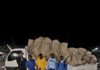 Ejército intercepta camión que transportaba haitianos indocumentados ocultos entre vegetales en Constanza.