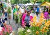 Festival de las Flores dinamiza economía en Jarabacoa.
