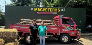 Ejército retiene camión cargado con 125 postes de cambrón ocultos entre pacas de paja sin permiso ambiental en Esperanza, Valverde.