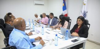 Comité Ejecutivo de Conadis aprueba proceso de transformación y renovación institucional