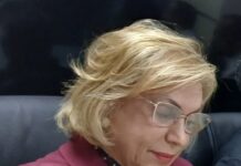 CESARINA MEJÍA VE “CAÓTICO” EL PANORAMA DEL COMERCIO EN SANTO DOMINGO ESTE.