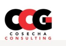 DIO ENCABEZA ENCUESTA DE CONSULTING.